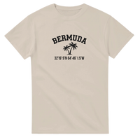 Load image into Gallery viewer, a21762d4-f281-44d2-9c65-191aa96b09d3